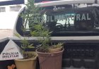 POLÍCIA MILITAR APREENDE DROGA E REALIZA PRISÃO DE AUTOR EM GUANHÃES