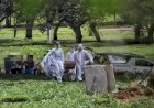 Minas tem 170 mortes por Covid, recorde de registros em 24 horas