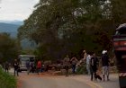 Caminhão bate em porteira, carga cai na cabine e mata motorista em Minas