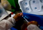 Quatro em cada 10 doses de vacinas contra Covid prometidas têm entraves no país