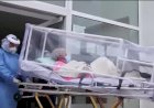 Mulher de 104 anos se recupera de Covid-19 pela segunda vez: vídeo