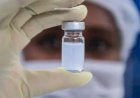 Covid: Veja as diferenças entre as vacinas Pfizer, Coronavac e Astrazeneca.