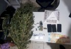 PM de Sabinópolis realiza operação para combater o tráfico de drogas no município, com o apoio de militares de Guanhães.