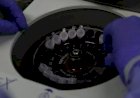Minas Gerias registra mais de 7.000 casos de coronavírus em 24h