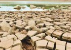 Madagascar é 1º país a sofrer fome extrema pelo aquecimento global, diz ONU