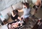 Vídeos mostram DJ Ivis agredindo a mulher; músico se pronuncia no Instagram