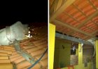 Vaca cai em telhado e precisa ser socorrida pelos bombeiros em Além Paraíba
