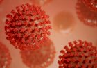 EUA se aproxima do pico da Delta enquanto espera o vírus se tornar endêmico