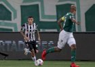 Galo x Palmeiras: onde assistir, prováveis escalações e muito mais