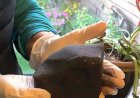 Mulher acorda com meteorito perfurando teto e caindo em sua cama