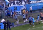 Em vídeo, torcedor do Grêmio parece imitar macaco para palmeirenses