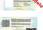 Carteira de Identidade: veja como será o novo RG