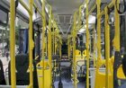 BH terá linha de ônibus de graça nesta segunda-feira (25)