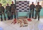 Homem é preso por suspeita de caça predatória em Ferros