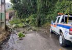Ciclone extratropical causa deslizamentos e derruba estruturas em Santa Catarina