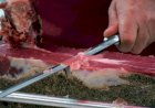 Homem decepa próprios testículos ao sonhar que cortava carne para refeição