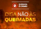 Clima seco e altas temperaturas favorece o aumento das queimadas