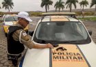 Motorista inabilitado é preso por carteira de habilitação falsa e por porte ilegal de arma de fogo na BR 259, próximo a Governador Valadares.