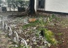 Chuva de granizo atinge bairros de BH e cidades da região metropolitana