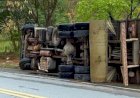 Caminhão sai da pista e tomba na BR-381, em Valadares