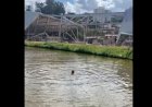 Homem fica mais de 20 minutos submerso em lagoa de Vespasiano e é salvo com vida