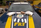 PRF apreende cerca de meio milhão de reais em cocaína dentro de ônibus