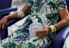 Minas registra mais quatro mortes por dengue em 24 horas; total chega a 49