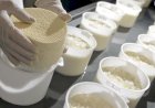 Queijo do Serro, em MG, ganha selo que valoriza a Indicação de Procedência