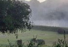 Frio em MG? Cidade mineira registra a menor temperatura no Brasil