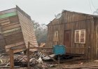 Casas 'viradas', arrastadas pela água e parede sobre árvore: veja como ficou Triunfo após enchente no RS