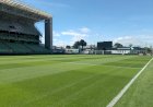 Pressionado, Bernardinho deve cortar Maurício Borges e confirmar Bergmann na Olimpíada