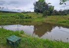 Homem morre afogado em açude na zona rural de Botelhos, MG