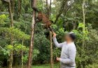 Prefeitura de Poços de Caldas alerta turistas sobre os riscos da febre amarela
