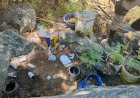 Fotos de plantação de maconha em celular de jovem levam a PM a apreender grande quantidade de drogas em Espinosa