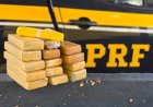 PRF apreende drogas e prende motorista em Rio Casca (MG)