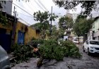 Alerta amarelo para vendaval atinge cidades de MG; saiba quais