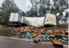 URGENTE: Duas pessoas morrem em grave acidente entre ônibus e caminhão na BR-040, em Três Marias