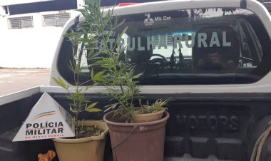 POLÍCIA MILITAR APREENDE DROGA E REALIZA PRISÃO DE AUTOR EM GUANHÃES
