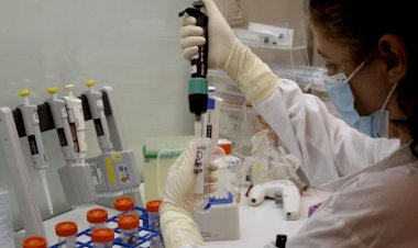 Covid-19: MG tem 2º maior número de mortes em 24h; são quase 130 mil infectados