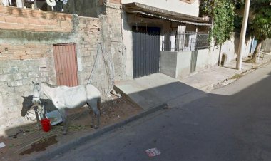 Homem que se passava por policial civil até para a esposa é preso em BH