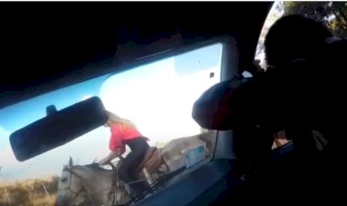 POLICIAIS MILITARES SALVAM AMAZONA DE CAVALO DESCONTROLADO EM VIRGINÓPOLIS