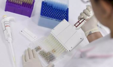 Teste com vacina de Oxford prossegue mesmo após morte de voluntário, diz Anvisa