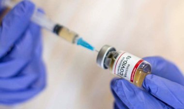 Covid-19: novo procedimento da Anvisa deve acelerar registro de vacina