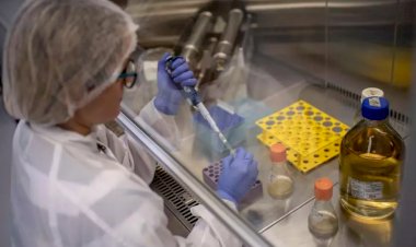 Saúde só vai ter plano de vacinação após registro de vacinas contra Covid-19