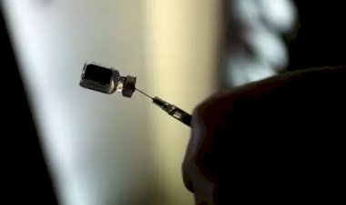 Proibição de exportação de seringas garante insumos ao plano de vacinação