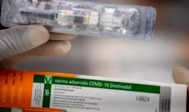 Coronavac: veja perguntas e respostas sobre a vacina contra a Covid-19