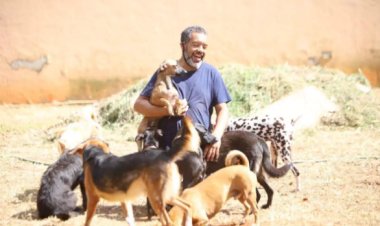 Ativista de BH faz apelo para encontrar novo lar para 70 cães e gatos