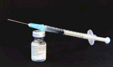 Pfizer e BioNTech: vacina é eficaz contra cepas britânica e sul-africana