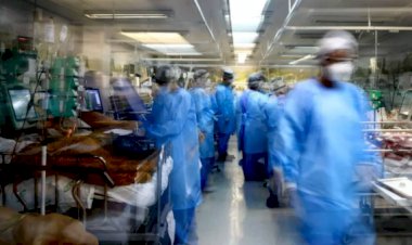 Brasil registra 2.777 mortes por Covid-19 e 100.158 novos casos em 24 horas
