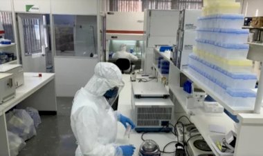 Laboratório confirma reinfecção por variantes brasileiras da Covid em paciente do RS